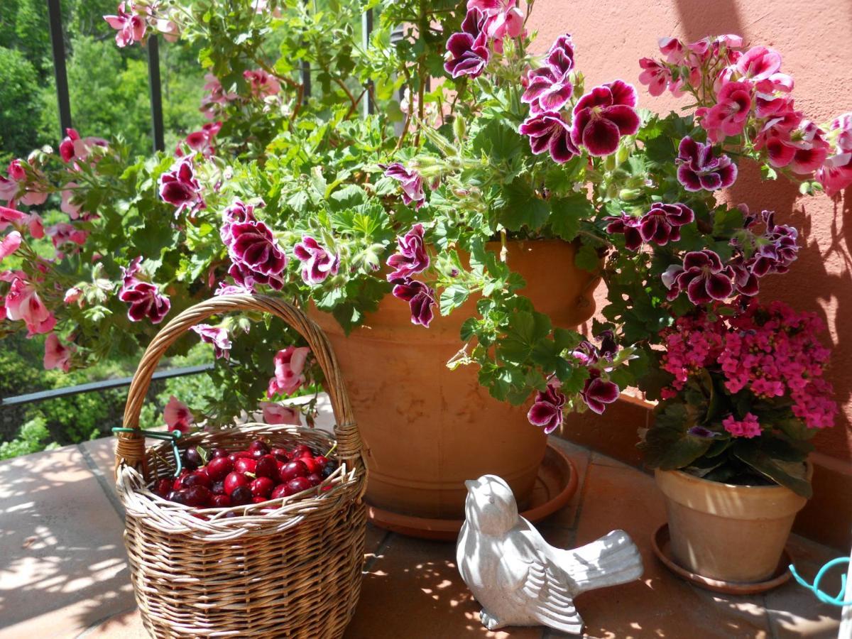 B&B Rossociliegia Colletta Exterior foto