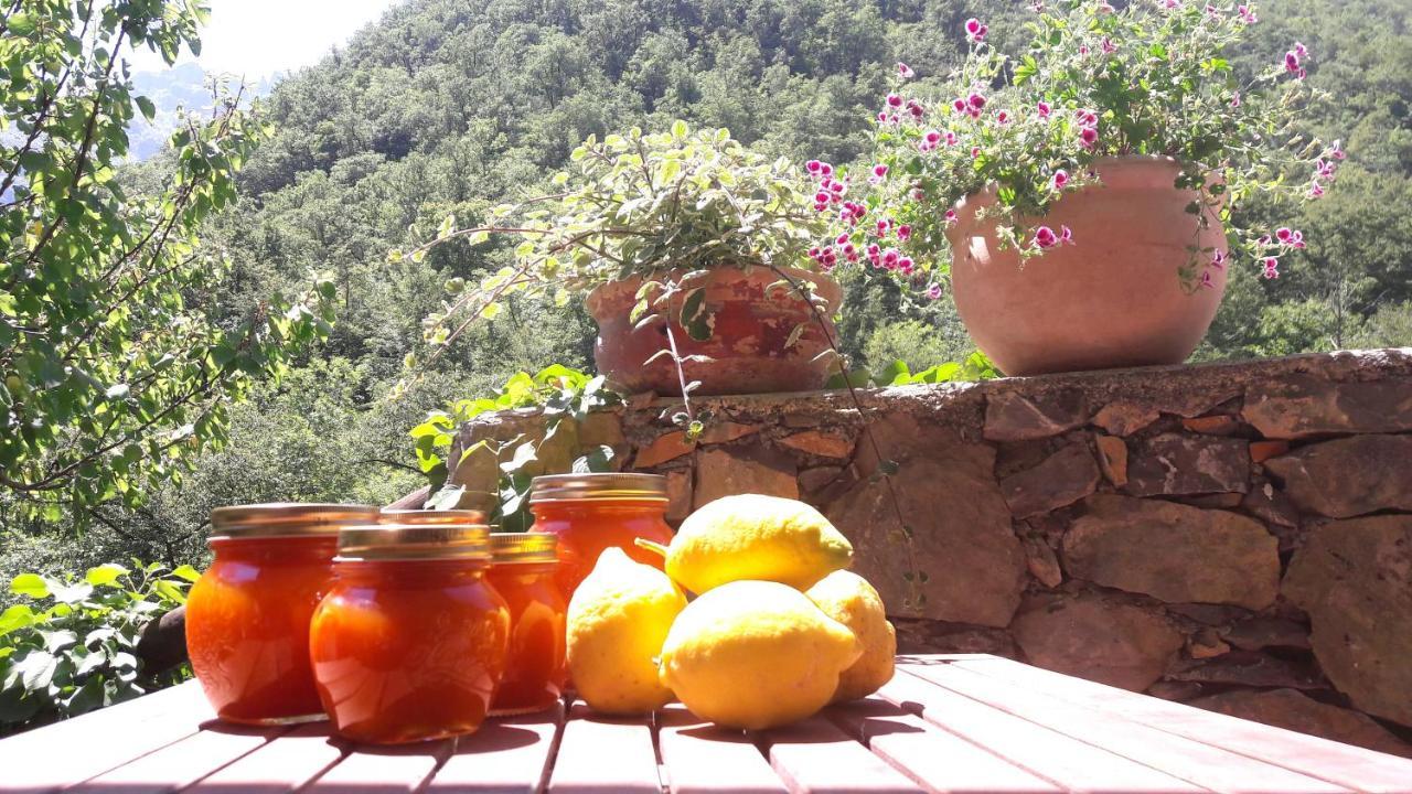 B&B Rossociliegia Colletta Exterior foto